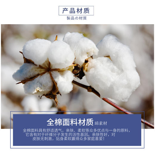 Threegun三枪 床笠四件套-SZXL60411 商品图1
