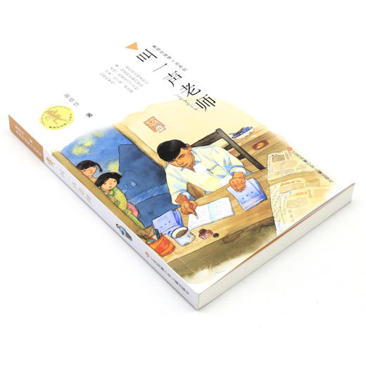 叫一声老师/黄蓓佳倾情小说系列 商品图1