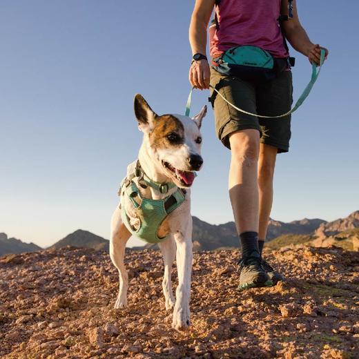 新款 拉夫威尔 嗨轻牵引 商品图4