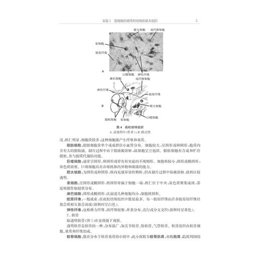 动物学实验/生物学理科基础人才培养基地教材/姜乃澄/卢建平/浙江大学出版社 商品图5