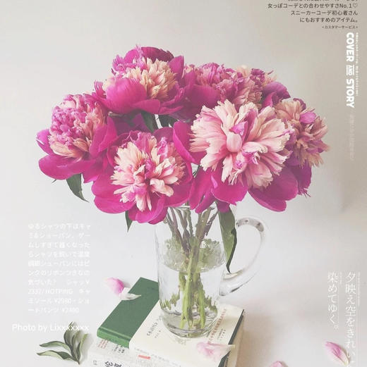 【奇花露霜芍药.稀有】5支/份  第二件减10元 商品图11