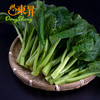 东升 宁夏菜心 新鲜时蔬火锅白灼 300g 商品缩略图1