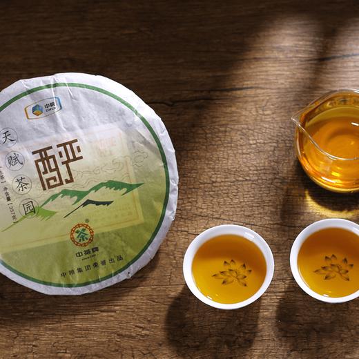 【秒杀】中茶天赋茶园普洱茶357g（润/馥/酽系列） 商品图1