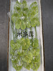 【绿光彩掌】米多蕊  绿掌 商品缩略图3