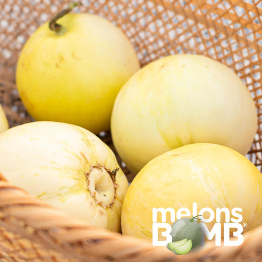 有蜂蜜香甜的小蜜罐薄皮甜瓜 顺丰快递 商品图6