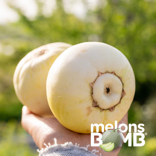 有蜂蜜香甜的小蜜罐薄皮甜瓜 顺丰快递 商品图3