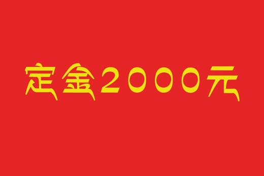 定金2000元 商品图0