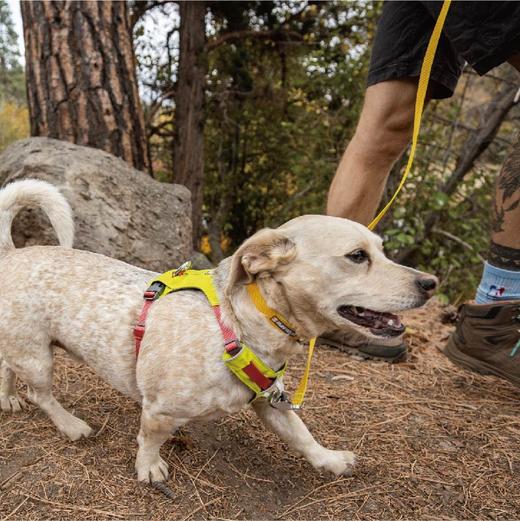 新款 拉夫威尔 嗨轻胸背 商品图4