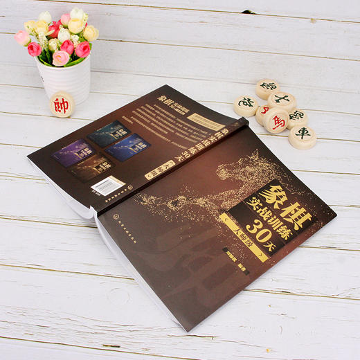 (仓发) 象棋实战训练30天（大师级）/化学工业出版社/刘锦祺/9787122376688 商品图3