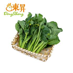 东升 宁夏菜心苗 新鲜时蔬火锅菜白灼清炒 250g