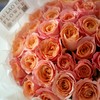 【温柔美人】粉色玫瑰花束 商品缩略图1