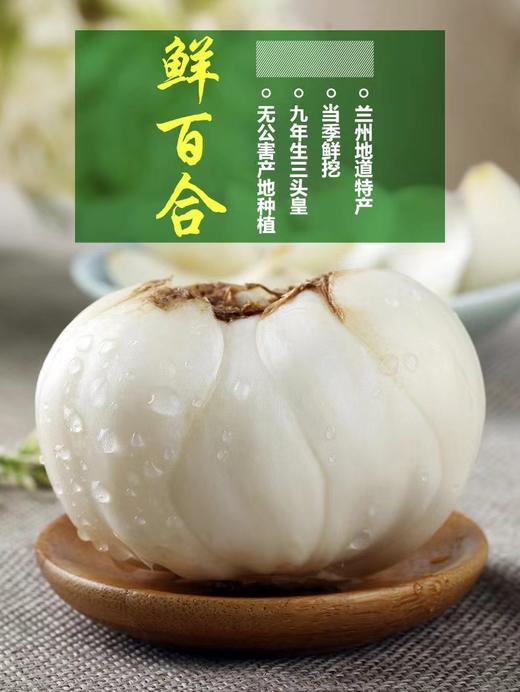米家山三头皇鲜甜百合（地标：兰州百合） 商品图1