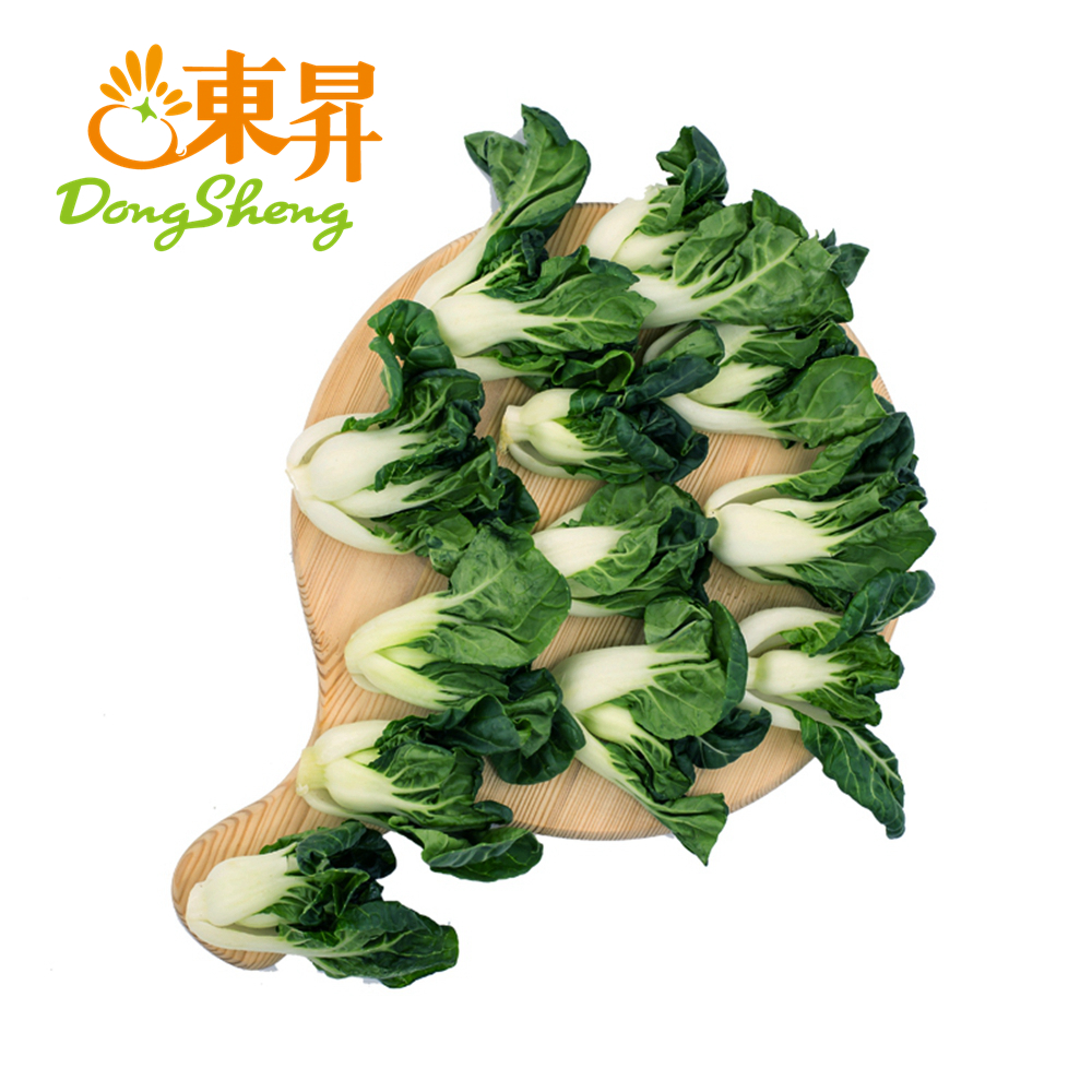 东升 宁夏鹤斗白苗新鲜直达 250g