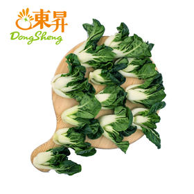 东升 宁夏鹤斗白苗新鲜直达 250g