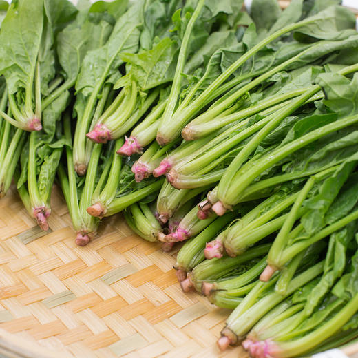 东升 宁夏菠菜苗 养生辅食 食材鹦鹉菜 供港蔬菜广州配送250g 商品图3