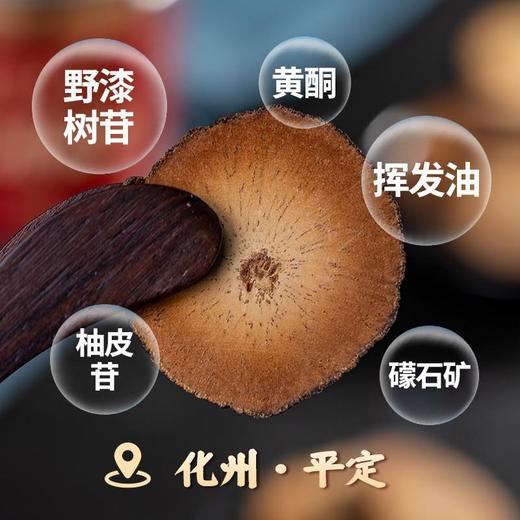 【历史好字号】汉谯堂化州橘红切片化桔红化橘红正宗化州橘红片100克每罐 商品图1