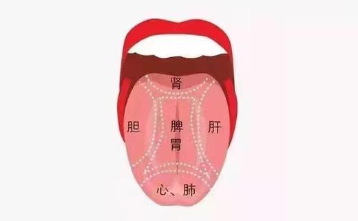 舌苔第二课！肝郁和血虚的舌苔和如何调理 商品图0