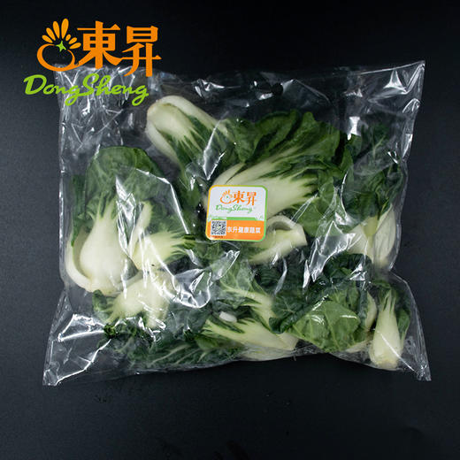 东升 宁夏鹤斗白苗新鲜直达 250g 商品图4