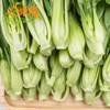 东升 供港上海青苗 新鲜爽口 菜味浓郁 250g 商品缩略图2