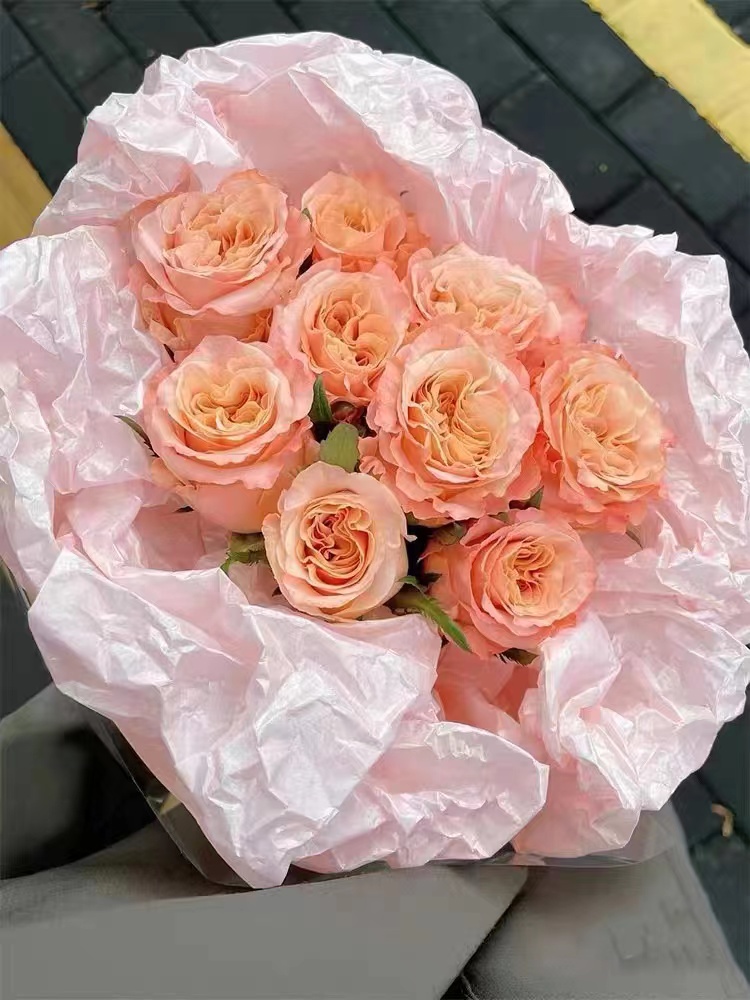 珠光雪梨纸/38克