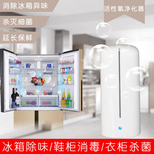 冰箱除臭器保鲜器臭氧杀菌消毒除味衣柜鞋柜除味器 商品图2