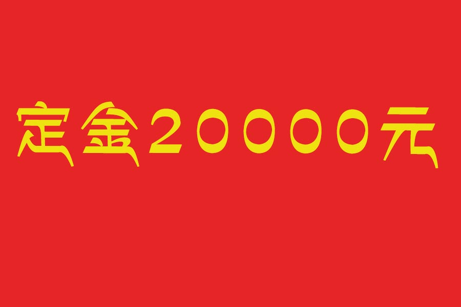 定金20000元