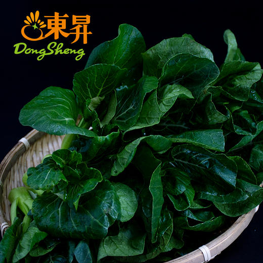 东升 宁夏菜心 新鲜时蔬火锅白灼 300g 商品图3