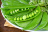 豌豆夹 约500g 【BC】【DN】 商品缩略图0
