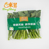 东升 宁夏菜心苗 新鲜时蔬火锅菜白灼清炒 250g 商品缩略图4