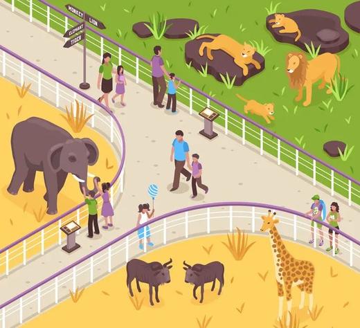 【河南自博-研学】科学动物园 | 通识线 商品图0