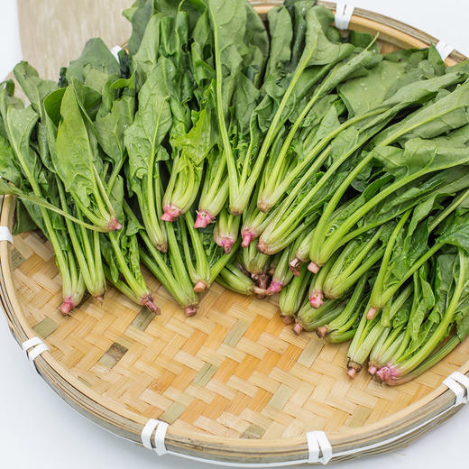 东升 宁夏菠菜苗 养生辅食 食材鹦鹉菜 供港蔬菜广州配送250g 商品图2