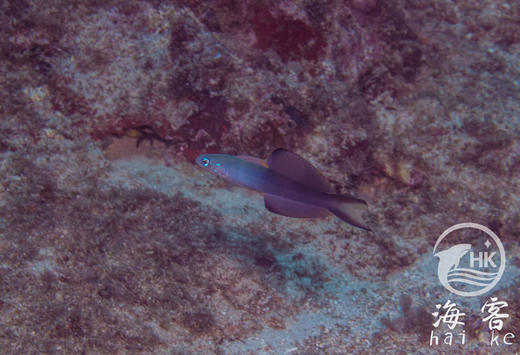 喷射机 商品图0