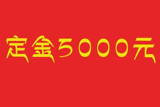 定金5000元 商品图0