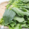 东升 宁夏菠菜苗 养生辅食 食材鹦鹉菜 供港蔬菜广州配送250g 商品缩略图4
