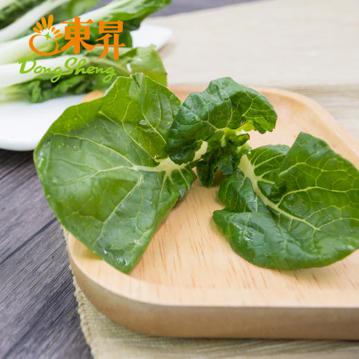 东升 宁夏奶白苗新鲜直达 250g 商品图2