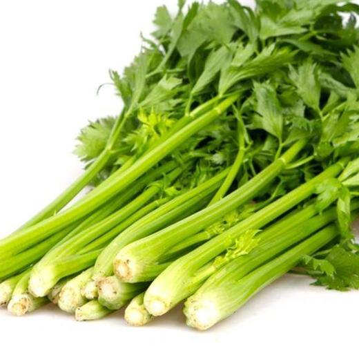 芹菜 约500g 【BC】【DN】 商品图0