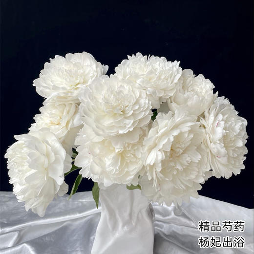 精品杨妃出浴芍药5支 商品图0