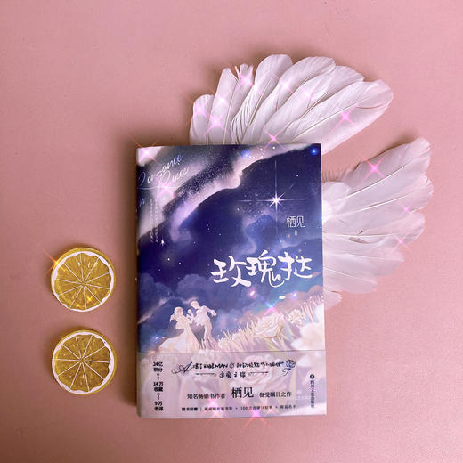 (仓发) 玫瑰挞/四川文艺出版社/栖见/9787541157097 商品图4