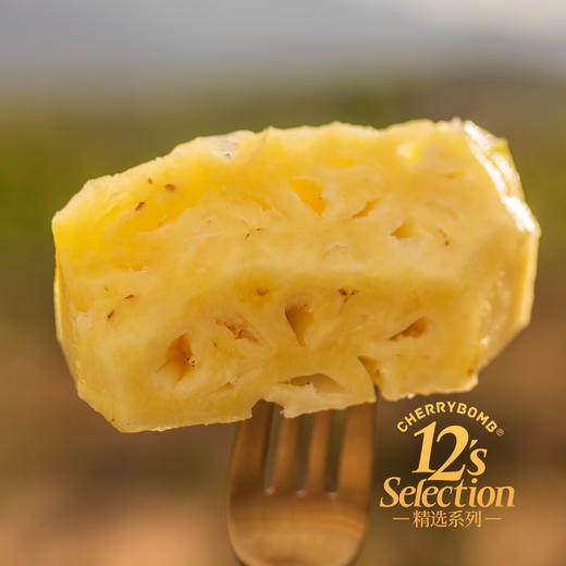 海南金钻凤梨 高甜微酸 多汁细腻 中通韵达快递  京东快递 商品图7