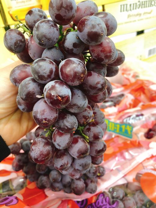 香水无籽红提二斤（拼团） 商品图3