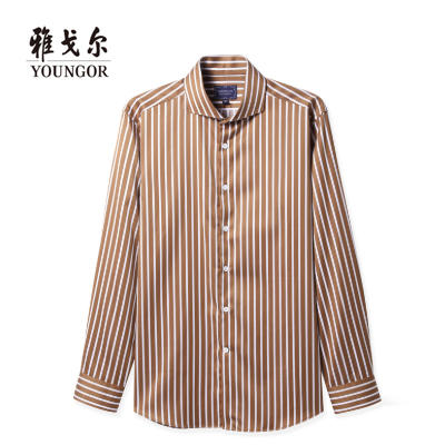 雅戈尔男士长袖衬衫春季商务休闲条纹纯棉修身衬衣YLXX120396TYY 商品图0
