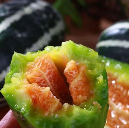 博洋9号    750g±50g 【BC】【DN】 商品图2