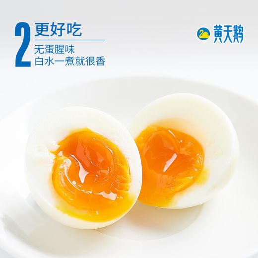 黄天鹅 达到日本可生食鸡蛋标准 10枚鲜鸡蛋 健康轻食 不含沙门氏菌 礼盒装 包邮 厂家直送 商品图2