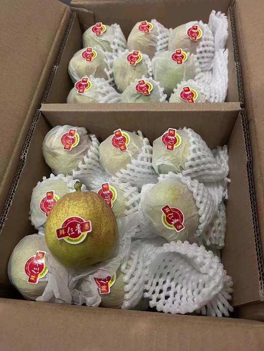 库尔勒香梨一箱  三贵品质 10斤装【BC】【DN】 商品图1