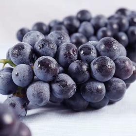 巨峰葡萄一份约500g