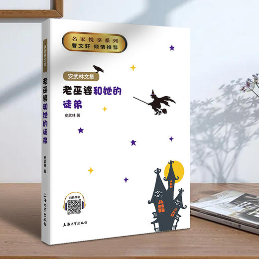 安武林文集系列 商品图2