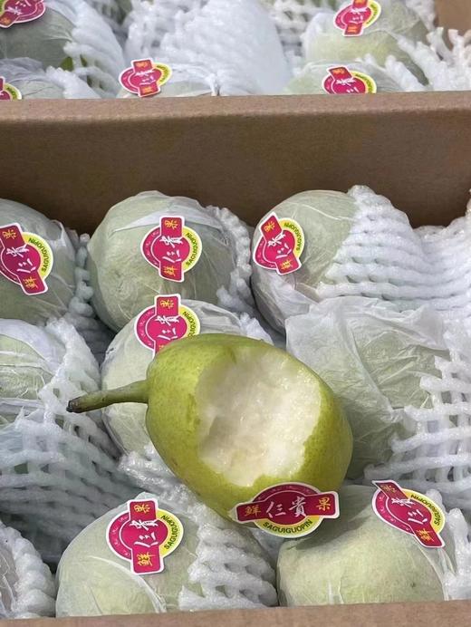 库尔勒香梨一箱  三贵品质 10斤装【BC】【DN】 商品图0