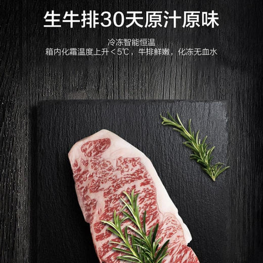 海尔（Haier）冰箱BCD-506WGHTD14S3U1 商品图8