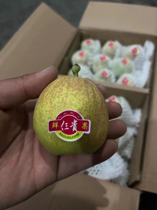 库尔勒香梨一箱  三贵品质 10斤装【BC】【DN】 商品图3