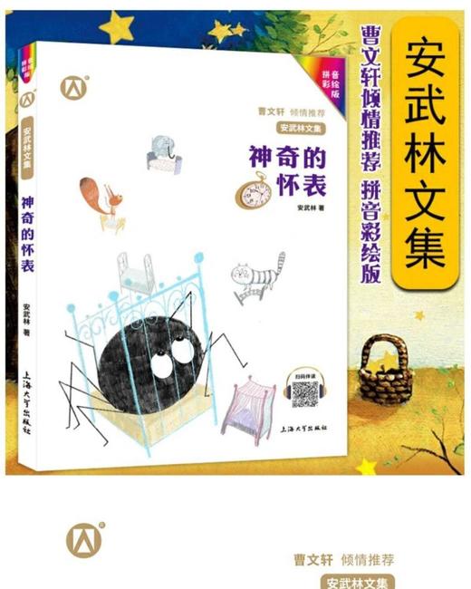 安武林文集系列 商品图1